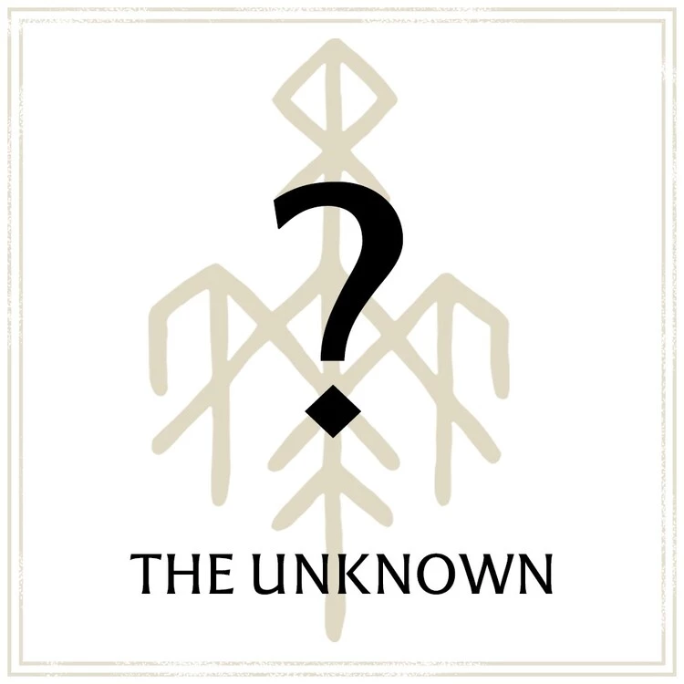 wardruna-t-shirt-the-unknown-mystery-box 2